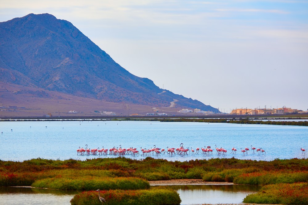 Les meilleurs parcs naturels en Andalousie, Espagne